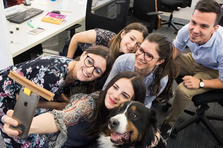 Metti un SelfieSTIX sullo smartphone e anche il cane è in posa